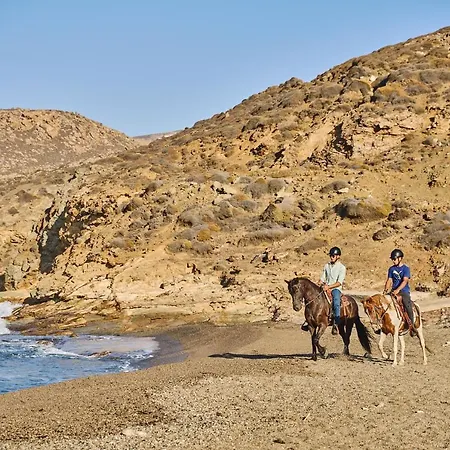 Ultramare Superior With Seaview *